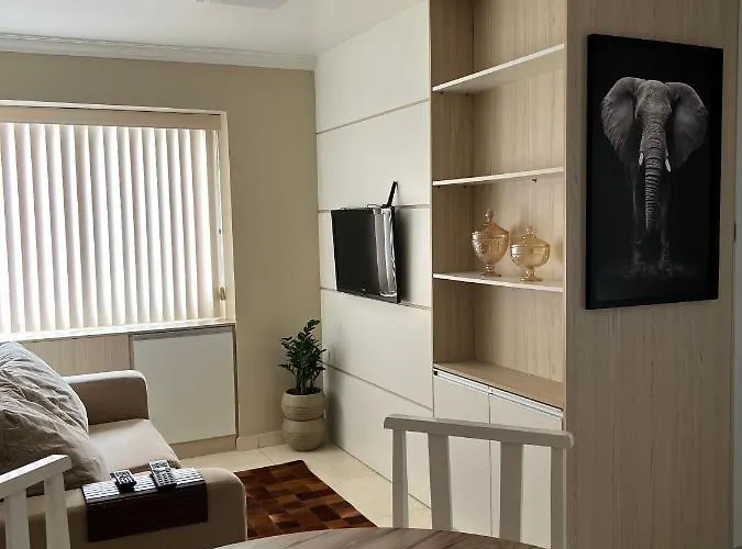 No Centro De , Bem Localizado E Confortavel